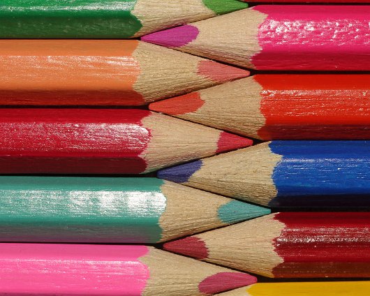 Macro-Coloured-Pencil-4